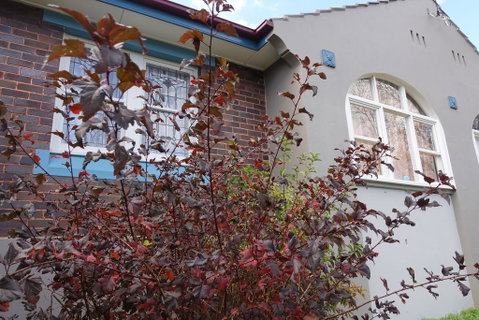 Lurline Villas - Accommodation Directory 2