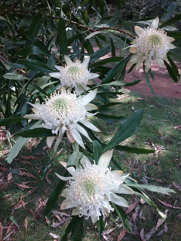 Hallston VIC Accommodation Directory