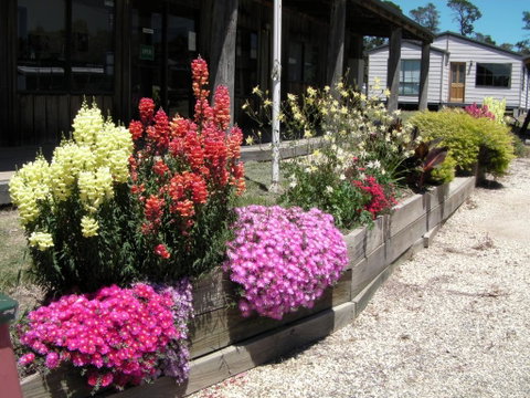 Mansfield Holiday Park - Accommodation Directory 3