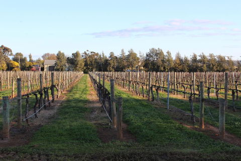 Milawa Vineyard Views - Guesthouse 1 - Accommodation Directory 1
