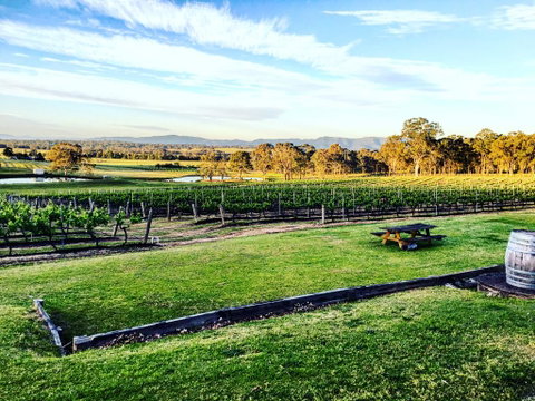 Molly Morgan Vineyard - Accommodation Directory 1