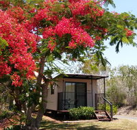 Mt Larcom Tourist Park - Accommodation Directory