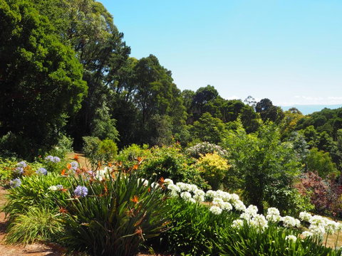 Murrindindi - Accommodation Directory 0