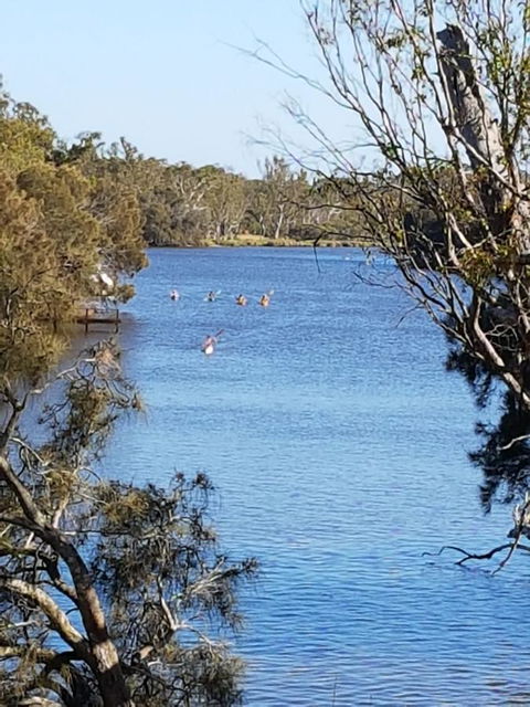 Jacaranda Hideaway Bed & Breakfast - Accommodation Directory 19