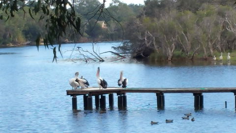 Jacaranda Hideaway Bed & Breakfast - Accommodation Directory 18