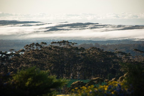 Celestine Retreat - Accommodation Directory 13