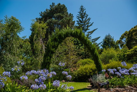 Celestine Retreat - Accommodation Directory 15