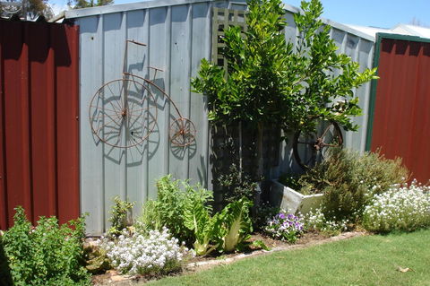 Bluebird Cottage - Accommodation Directory 26