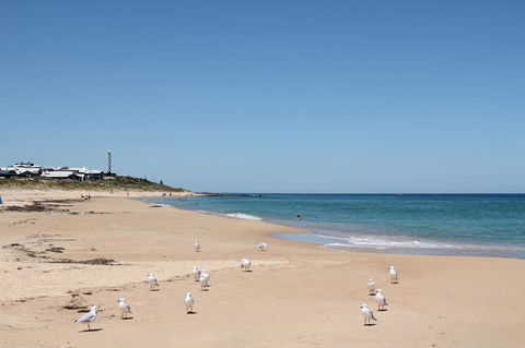 Bluebird Cottage - Accommodation Directory 40