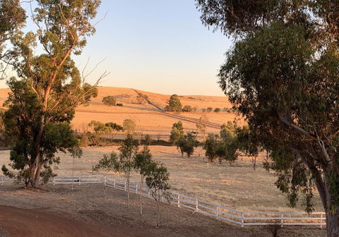 Daisy Cottage - Accommodation Directory 4