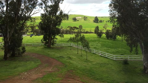 Daisy Cottage - Accommodation Directory 22