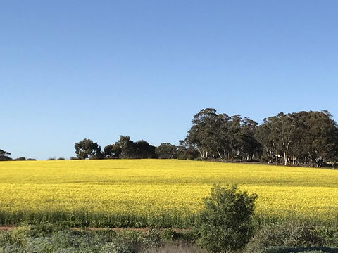 Daisy Cottage - Accommodation Directory 6