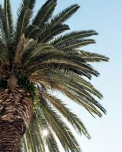 Best Western Plus Hotel Lord Forrest - Accommodation Directory 8
