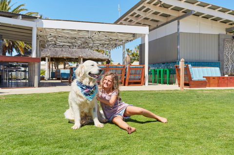 RAC Monkey Mia Dolphin Resort - Accommodation Directory 35