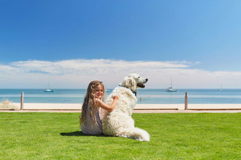 RAC Monkey Mia Dolphin Resort - Accommodation Directory 36
