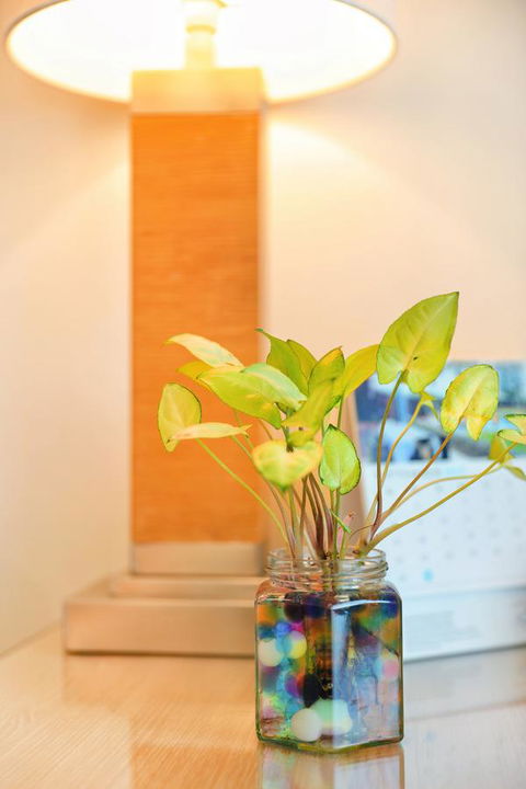 Bunbury Hotel Koombana Bay - Accommodation Directory 7