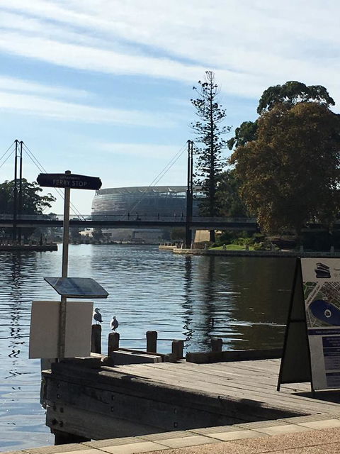 Dragonfly Apartment On Regal - Accommodation Directory 27