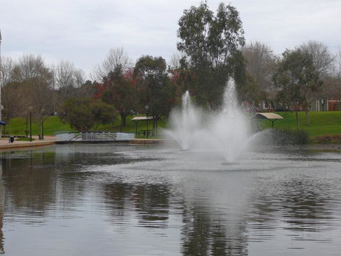 Dragonfly Apartment On Regal - Accommodation Directory 39