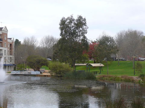 Dragonfly Apartment On Regal - Accommodation Directory 43