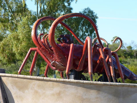 Leander Reef Holiday Park - Accommodation Directory 4
