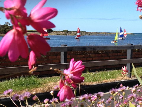 The Waterfront Wynyard - Accommodation Directory 7