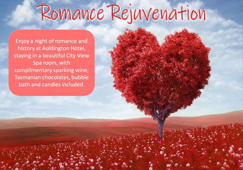 Auldington Hotel - Accommodation Directory 6