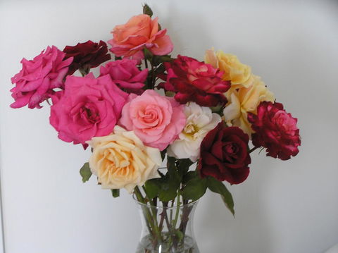 Auldington Hotel - Accommodation Directory 30