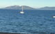 Swansea Beach House Oceanfront - thumb 1