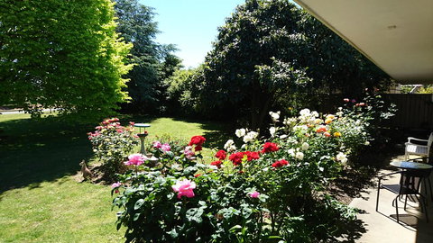 Opal Motel - Accommodation Directory 2