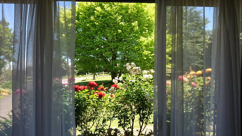 Opal Motel - Accommodation Directory 1