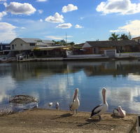 Pelican Cove Apartments - Accommodation Directory