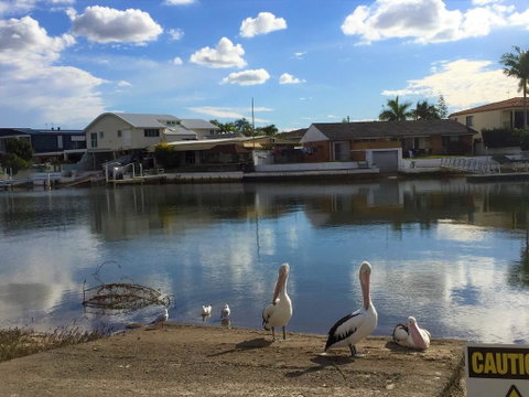 Pelican Cove Apartments - Accommodation Directory 0