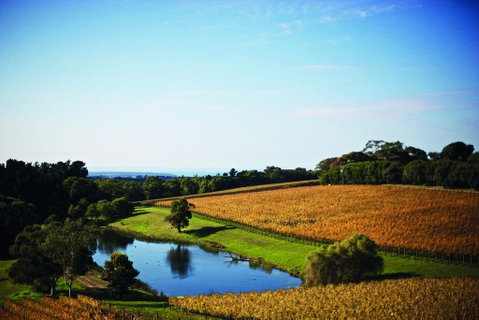 Port Phillip Estate - Accommodation Directory 2