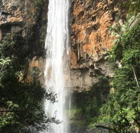 Purling Brook Falls Gwongorella - Accommodation Directory