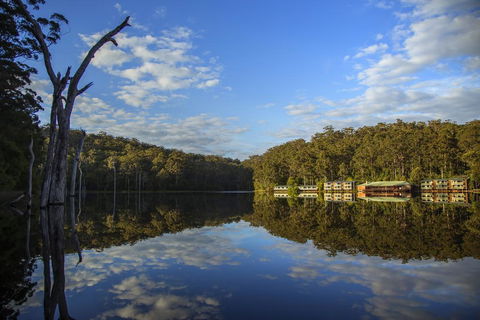 RAC Karri Valley Resort - Accommodation Directory 0