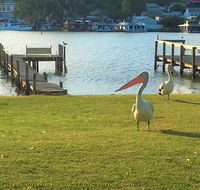 Riverfront Getaway - Mannum - Accommodation Directory
