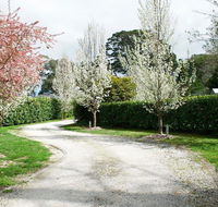 Robin Hill Manor - rambling retreat  tennis court - Accommodation Directory