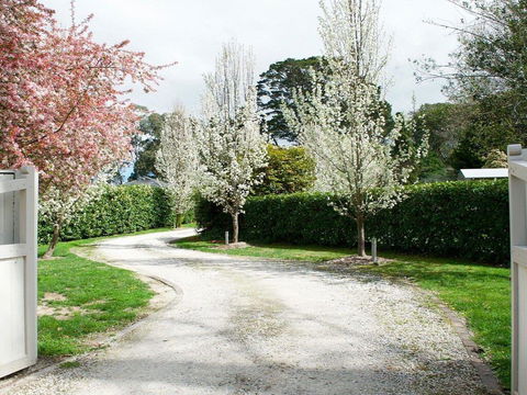 Robin Hill Manor - Rambling Retreat & Tennis Court - Accommodation Directory 0