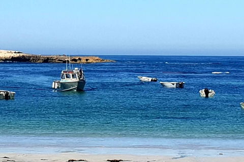 Rocks Retreat Cabin 3 - Lobster - Accommodation Directory 2
