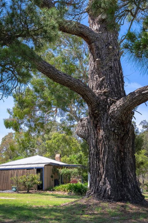 Rose Cottage - Accommodation Directory 3