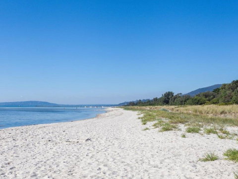 Rosebud Beach Babe - Accommodation Directory 0
