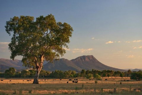 Rubicon Hotel Motel - Accommodation Directory 0