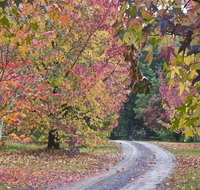 Rustic Spirit - Accommodation Directory