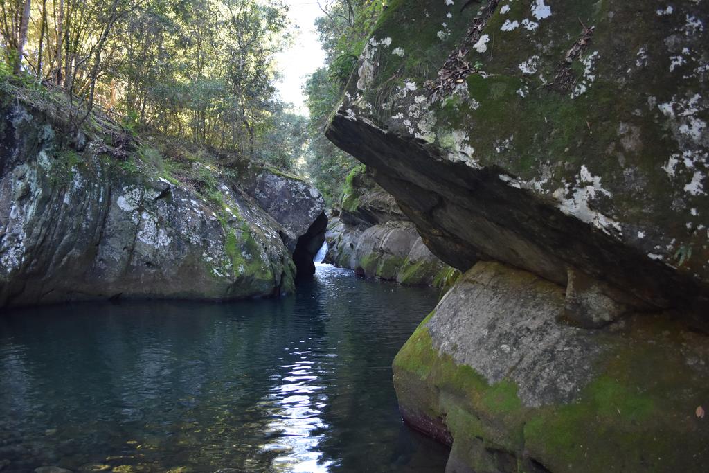 Salisbury NSW Accommodation Directory