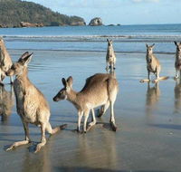 Seaforth Holiday Units - Accommodation Directory
