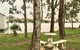 Shack Built Over The Murray River - thumb 2