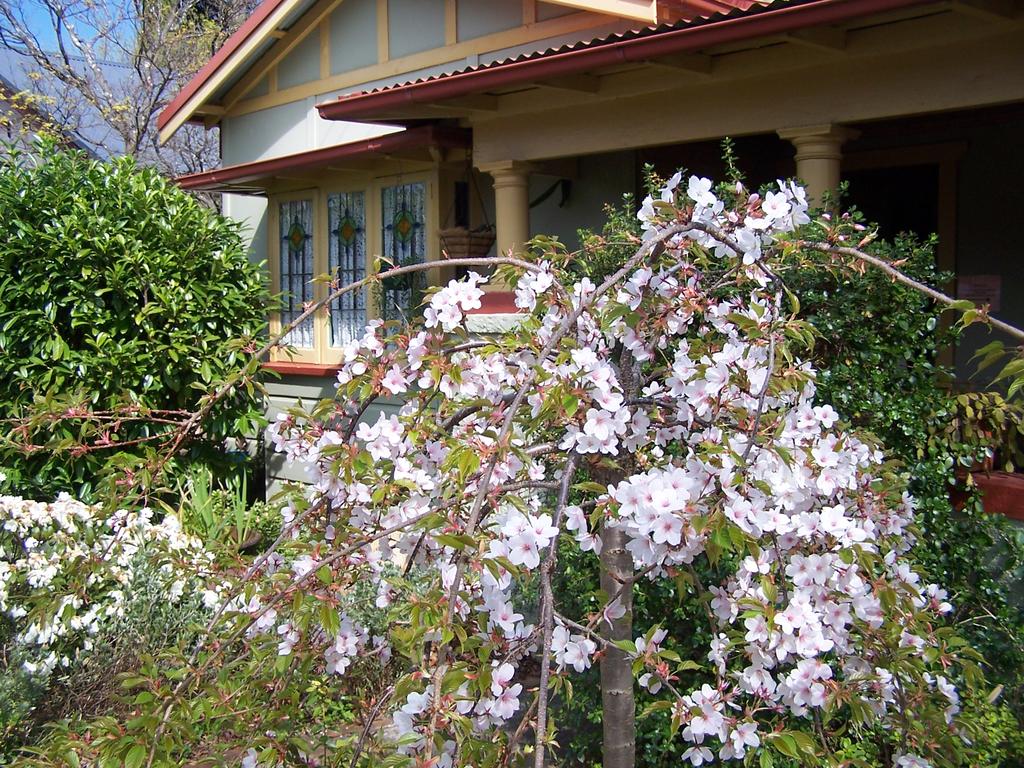 Katoomba NSW Accommodation Directory