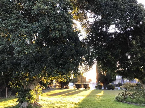 Sir Francis Drake - Accommodation Directory 2
