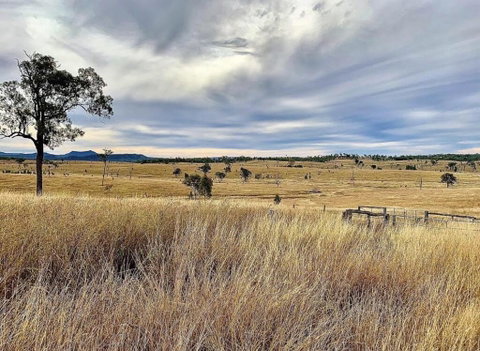 Skyline Farm House - Accommodation Directory 3
