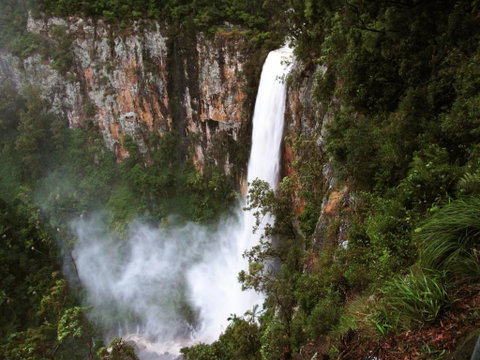 Springbrook Lyrebird Retreat - Accommodation Directory 2
